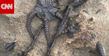 سعودي يكتشف كنز طبيعي في جازان